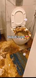 skibidipoop.jpg